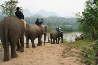 Elephant Village, Laos Copyright Michael Bencik 2013